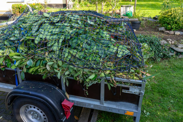 Best Hoarding Cleanup  in Yellow Springs, OH